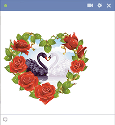 Valentine Swans