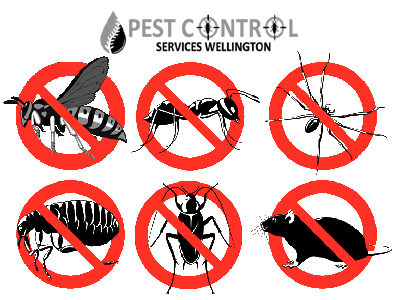 pest control wellington