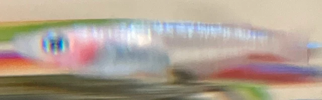 ラズリーメダカ 稚魚 １００日目