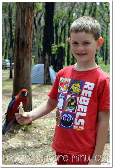 How Many More Minutes? ~ Sawpit Camping Area
