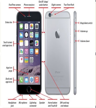 Look at the Physical Features of the iPhone