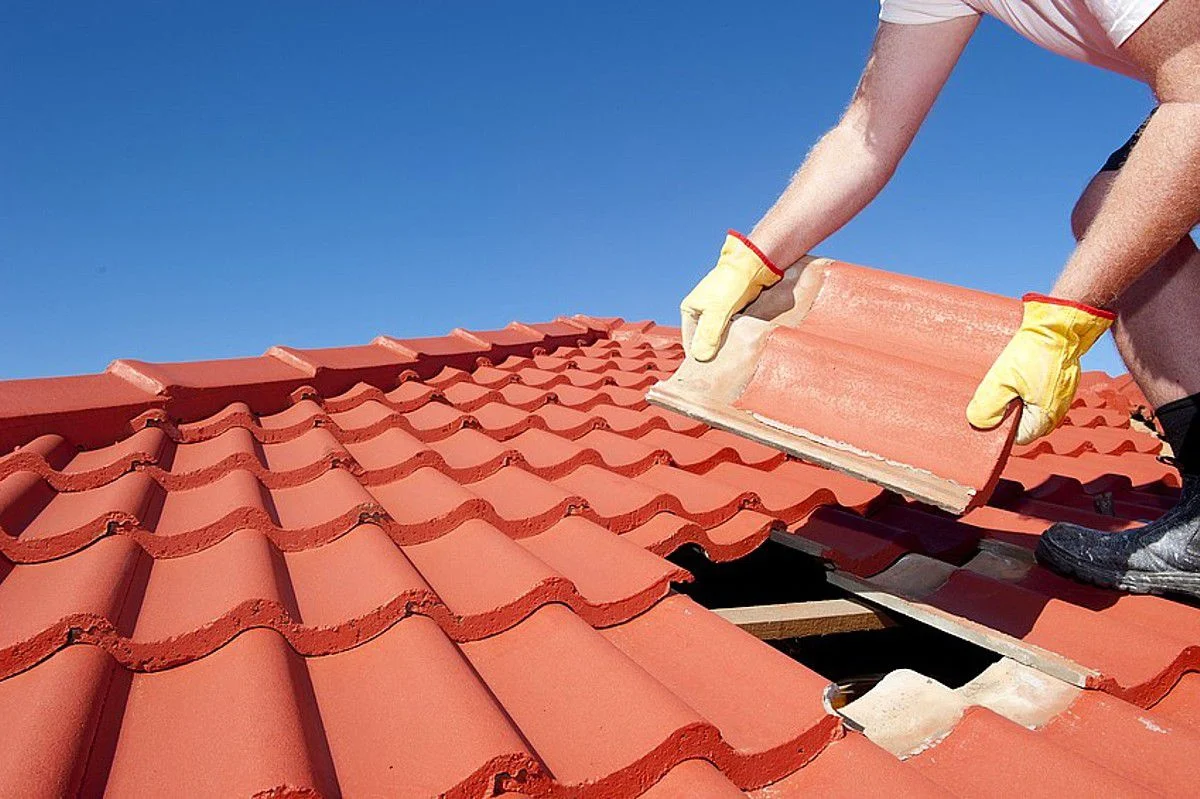 Maintain Roofs