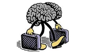 fuga_cerebro1
