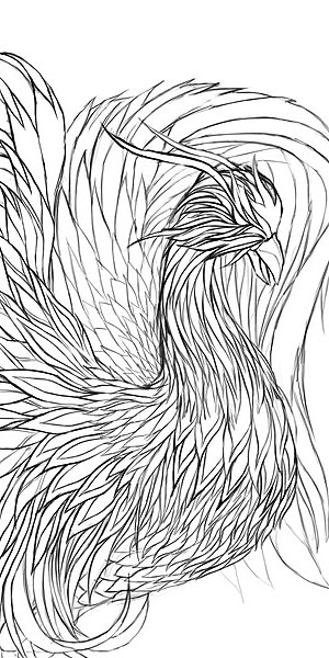 A design of the Asiatic Phoenix for the purpose of the body of the bird to