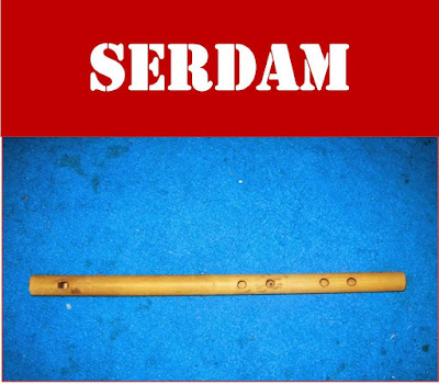 serdam