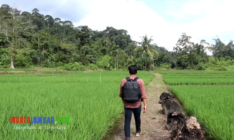 Curug Indah di Pekon Sukamulya