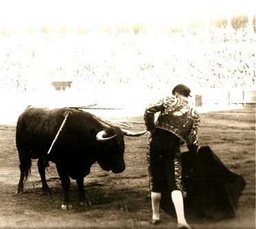 El Cite Belmonte 2