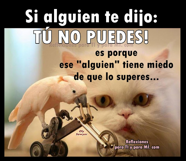 No valen las excusas... !  Mejor decídete a TRIUNFAR ... Tú puedes !!!.  Recuerda: El triunfador siempre tiene un PLAN...  El perdedor siempre tiene una EXCUSA!....