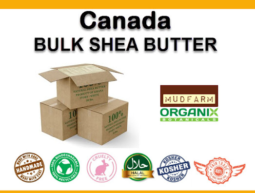 wholesale shea butter canada
