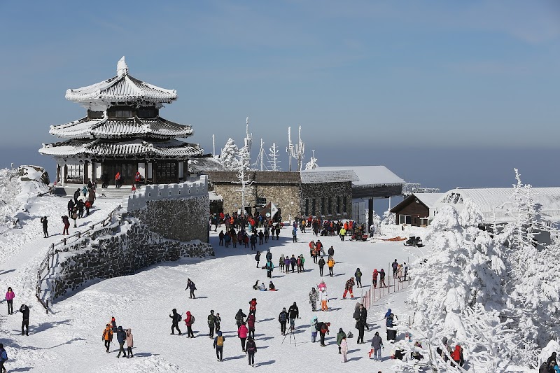 16+ Inilah Tempat Wisata Di Korea Selatan Saat Musim Dingin