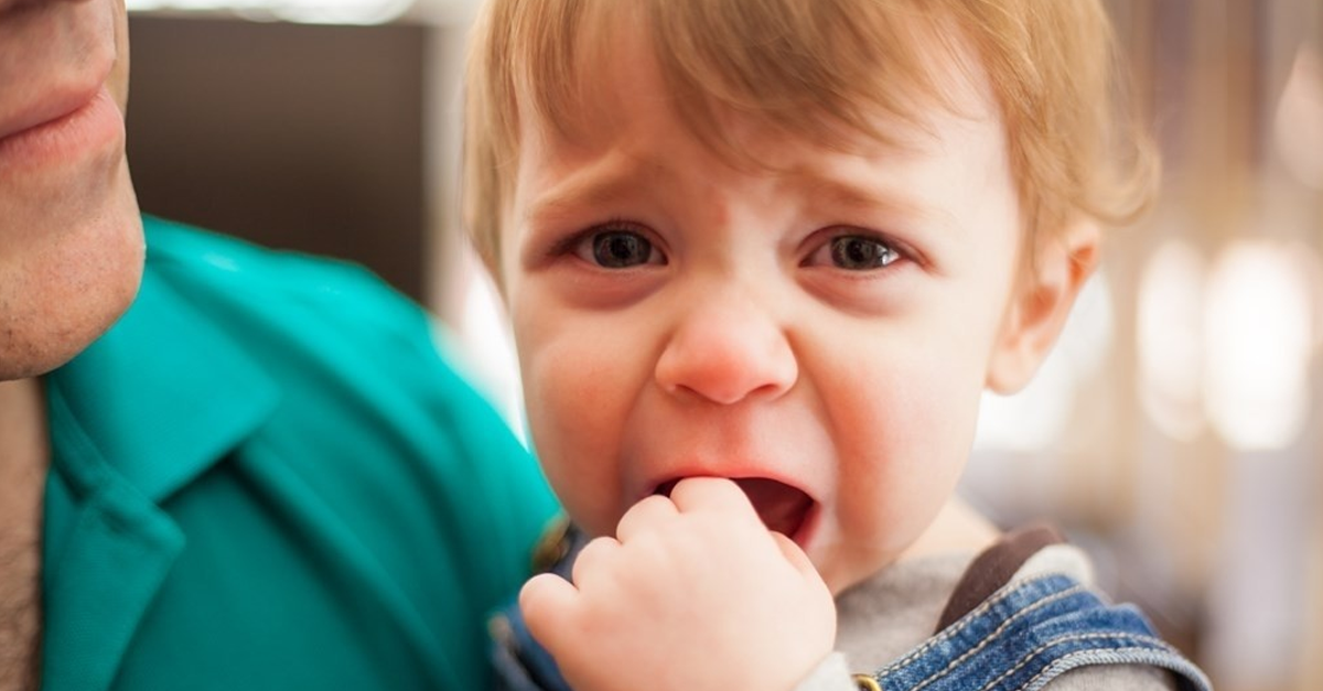 Có nhiều nguyên nhân khiến bé khóc khi bé đi nhà trẻ