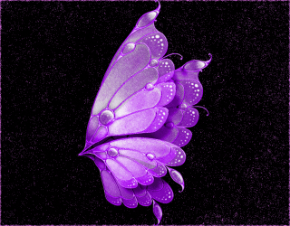 animation butterfly