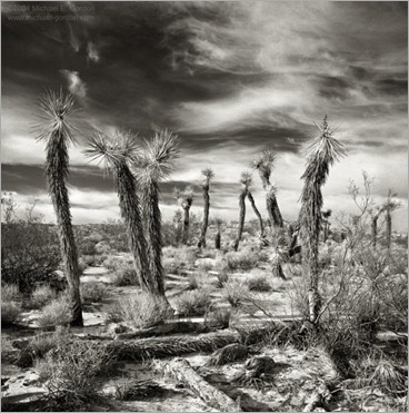 Landscape photo