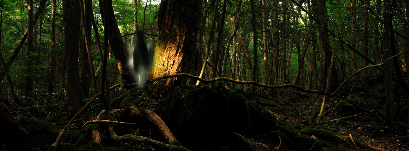 KISAH NYATA - CERITA TENTANG HUTAN KEMATIAN " AOKIGAHARA 