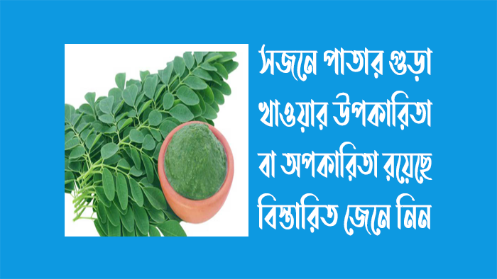 সজনে পাতার গুড়া খাওয়ার উপকারিতা - গর্ভাবস্থায় সজনে পাতার উপকারিতা