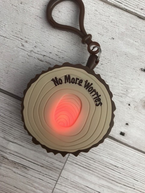 Plastic mini plaque that is made to look like wood with No More Worries written on it and a finger print that is glowing red