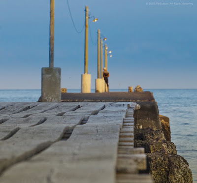Pier Leading out to Sea