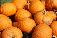 picture of pumpkins