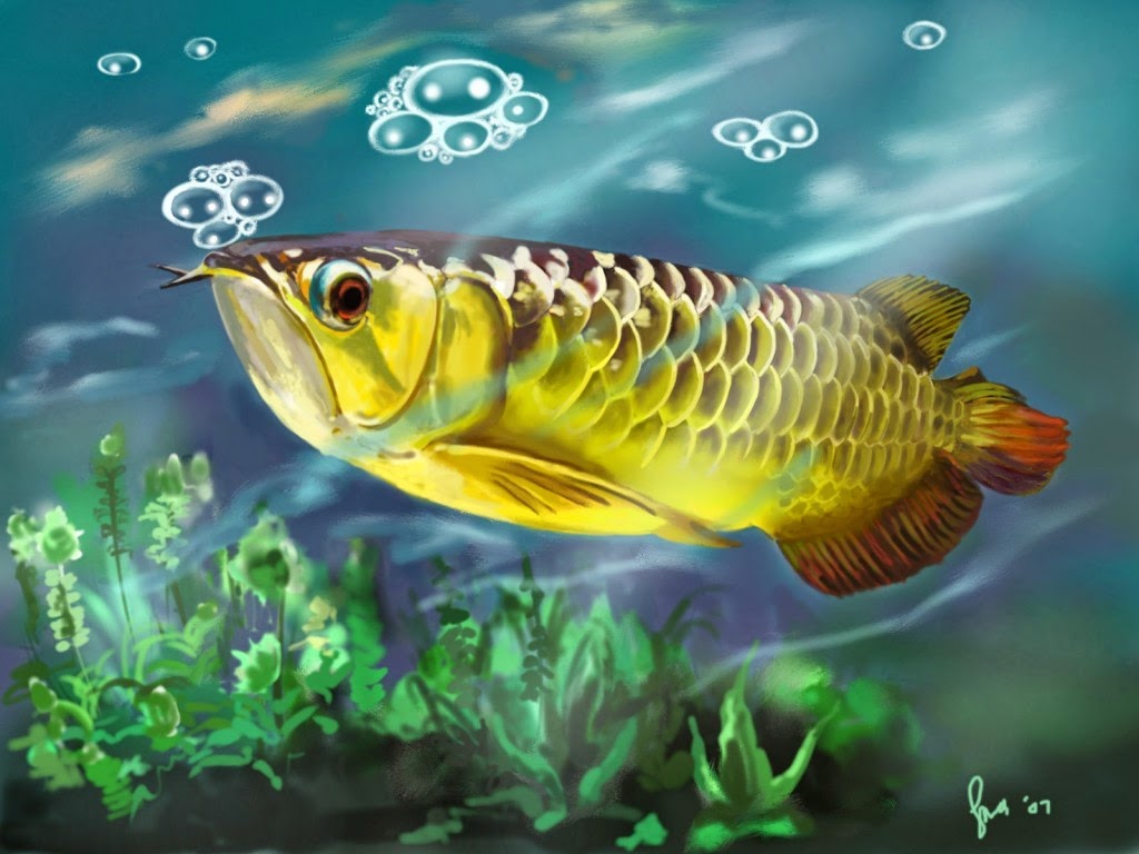 Gambar Wallpaper  Animasi  Ikan  Gudang Wallpaper 