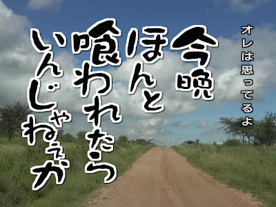 コンプリート！ 水曜どう��しょう 名言 壁紙 193323-水���どうでしょう 名言 壁紙