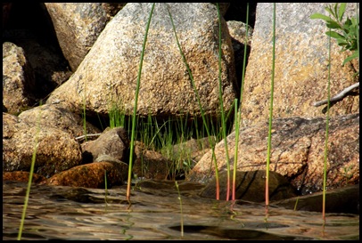 On Jordan Pond 115