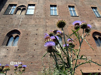 Giardino Medievale di Palazzo Madama