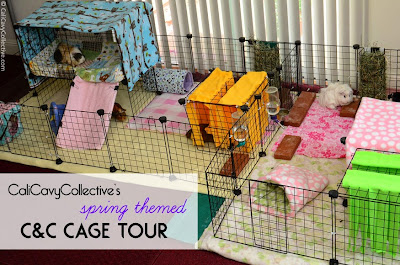 guineapig C and C fleece cage tour