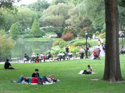 Central Park in New York