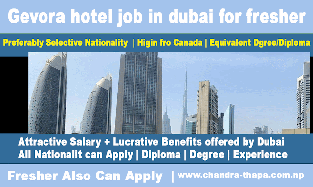 Gevora hotel job in dubai for fresher 2022, Online Apply (Latest New Job Updated)