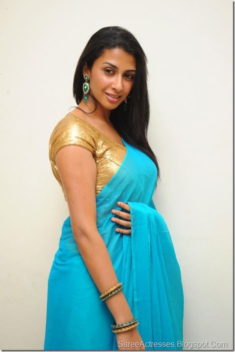 Gayathri Iyer Hot in Blue Saree 3