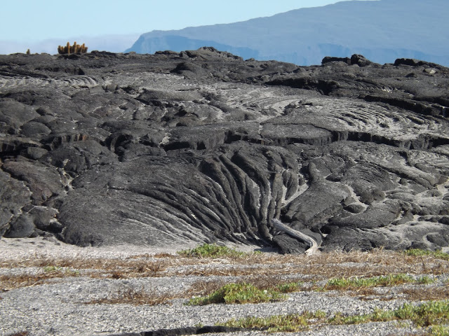 Isla Fernandina, Islas Galápagos