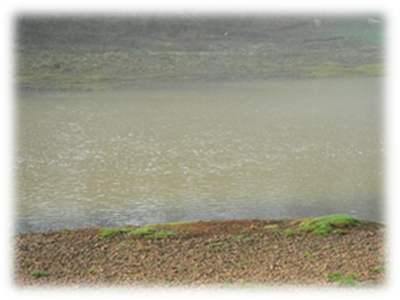clip_image002
