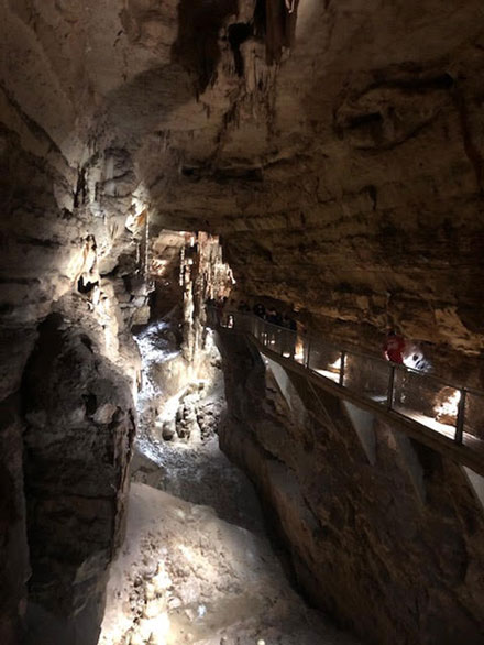 Inside view of the Natural Bridge Caverns (Source: Palmia Observatory)