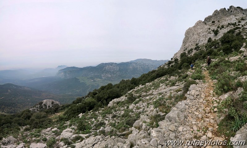 Sierra de los Pinos por las Pulgas