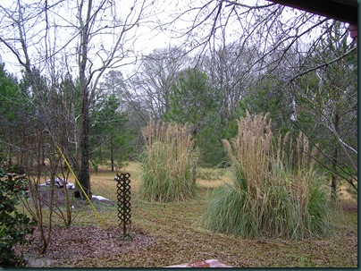 Image001