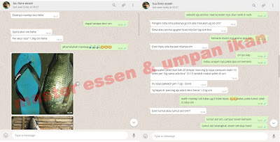 Umpan Serbuk Dasar Untuk Ikan Nila