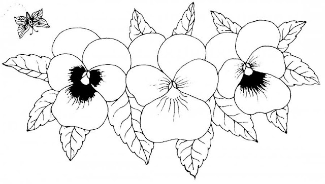 flowers pansies coloring pictures
