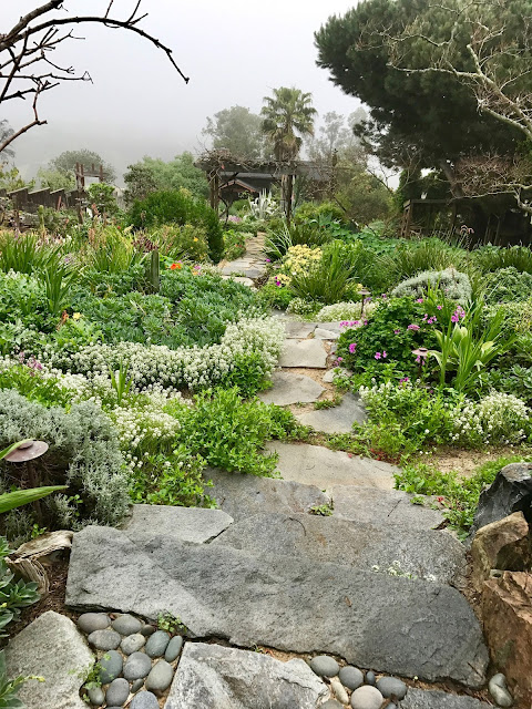 lush garden path leading into fog