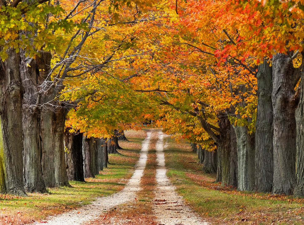 Fall colors on Sweetmans Lane in Millstone New Jersey