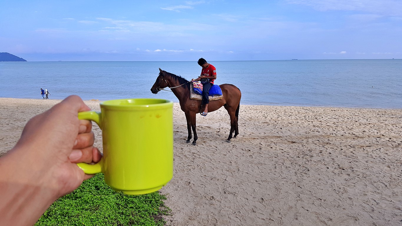 horse for hire at Batu Ferringhi Beach, Georgetown, Penang, Malaysia