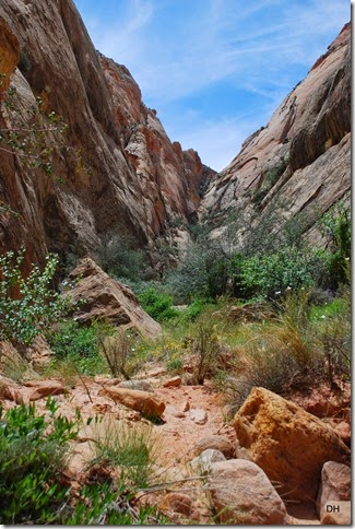 05-22-14 Capital Reef NP (174)