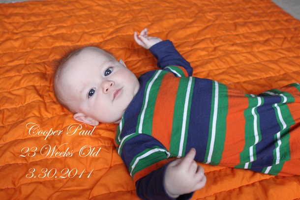 23 weeks old