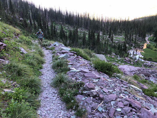 Morning light in Glacier Basin hiking on the Sperry Lake Trail