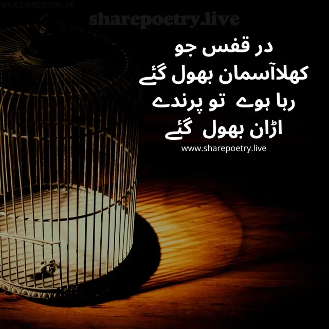 deep poetry in urdu - Cage With Out bird Sad Feel