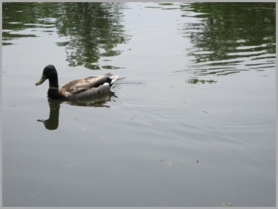 June 078