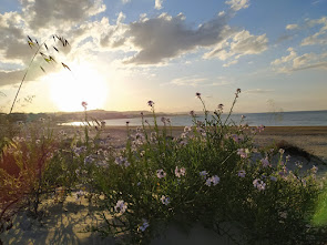 spiaggia