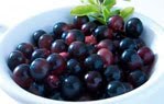 acai çileği-acai berry faydaları