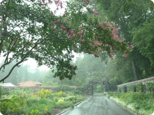 Biltmore Estates 112