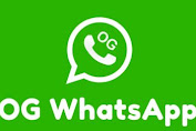 OG WhatsApp Pro Apk Official Download Versi Terbaru 2022