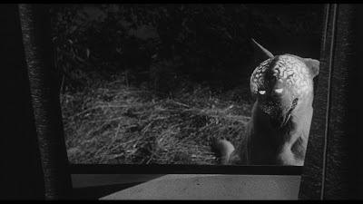 The Brain From Planet Arous 1957 Movie Image 10